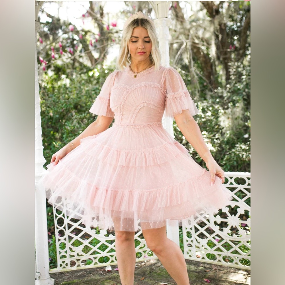 Ivy City Co Short Whimsical Dress in Blush XL